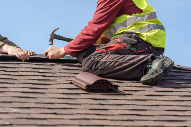 Gutter Installation and Roofing in Lake Catherine, IL