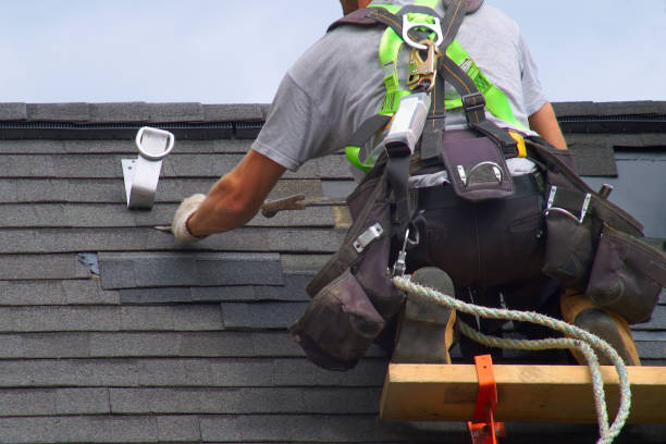 Best Roof Maintenance Services  in Lake Catherine, IL