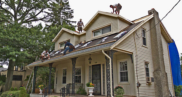 Best Shingle Roofing Installation  in Lake Catherine, IL